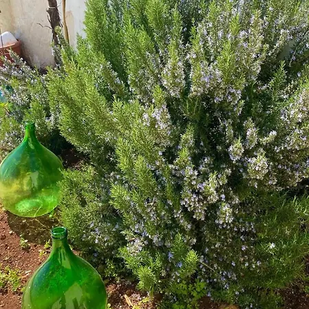 Casita Holiday home Ostuni