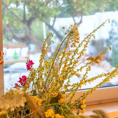 Holiday home La Casita - Authentic Apulian Ostuni